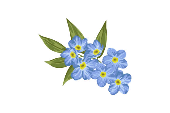 Download Forget Me Not Flower Illustration - Flower illustration Collection