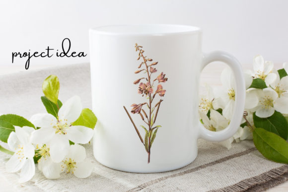 Download Pink Vintage Wild Flower Illustration - Flower illustration Collection
