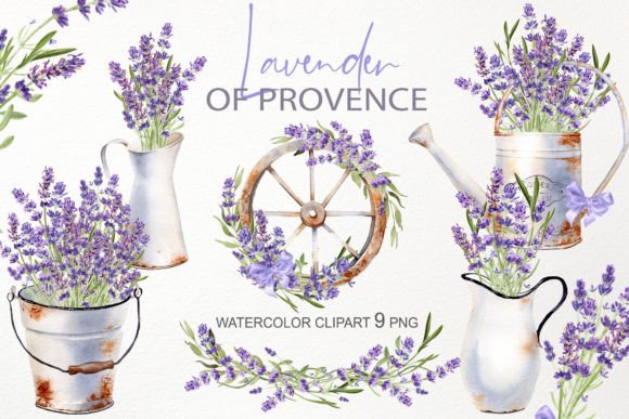 Download Watercolor Lavender Flower Illustration - Flower illustration Collection