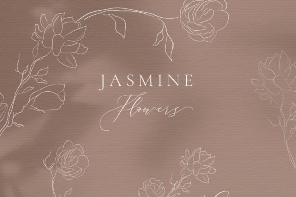 Download Line Drawing Jasmine Flower Illustration - Flower illustration Collection