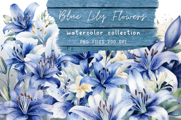 Download Watercolor Lily Blue Flowers - Blue flower Collection